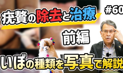 姜片加红糖的功效与作用-姜片和红糖泡水喝的功效-姜片加红糖的功效与禁忌,中国姜片加红糖的功效网站